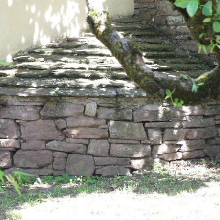 Villa Gite L'Oustal Occitan A Saint-Juery Exterior foto